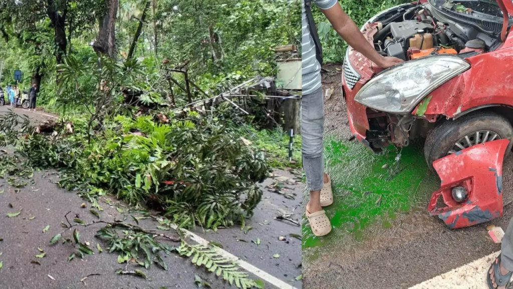 ವಿದ್ಯುತ್ ಕಂಬ ಸಮೇತ ಕಾರಿನ ಮೇಲೆ ಬಿದ್ದ ಬೃಹತ್ ಮರ, ಪವಾಡಸದೃಶವಾಗಿ ಪಾರಾದ ದಂಪತಿ