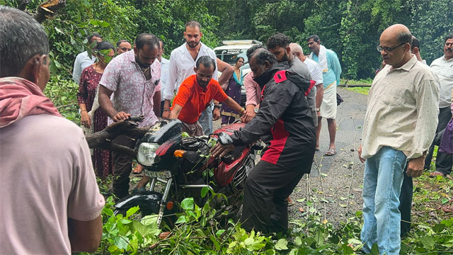 ಬೆಳ್ತಂಗಡಿ: ಚಲಿಸುತ್ತಿದ್ದ ಬೈಕ್ ಮೇಲೆ ಬಿದ್ದ ಬೃಹತ್ ಮರ; ಕೂದಲೆಳೆ ಅಂತರದಲ್ಲಿ ತಪ್ಪಿದ ಅಪಾಯ