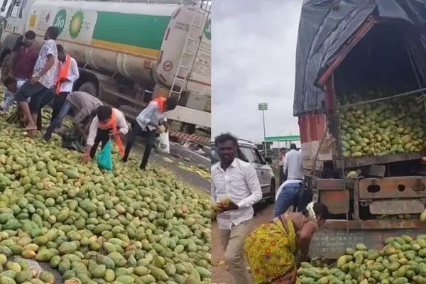 ಅಪಘಾತದ ಬಳಿಕ ಸಹಾಯಕ್ಕಿಂತ ಲೂಟಿಗೇ ಆದ್ಯತೆ; ಮಾವಿನ ಹಣ್ಣು ಹೊತ್ತೊಯ್ದ ಜನ