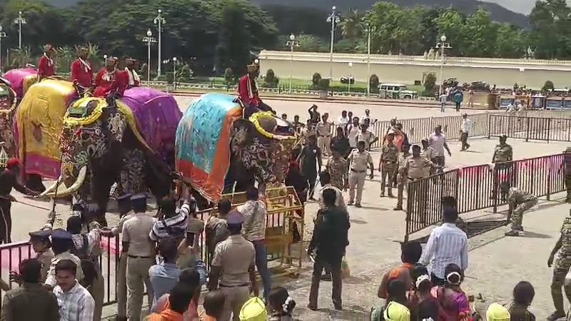 ದಸರಾ ಗಜಪಡೆಗೆ ಸಾಂಪ್ರದಾಯಿಕ ಸ್ವಾಗತ; ಅರಮನೆ ಪ್ರವೇಶದ ವೇಳೆ ಬೆಚ್ಚಿಬಿದ್ದ ಶ್ರೀರಾಮ ಆನೆ
